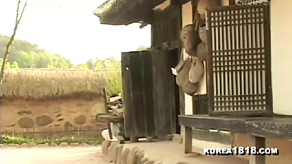 韩国人在森林里做爱